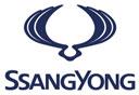 Logo סאנגיונג